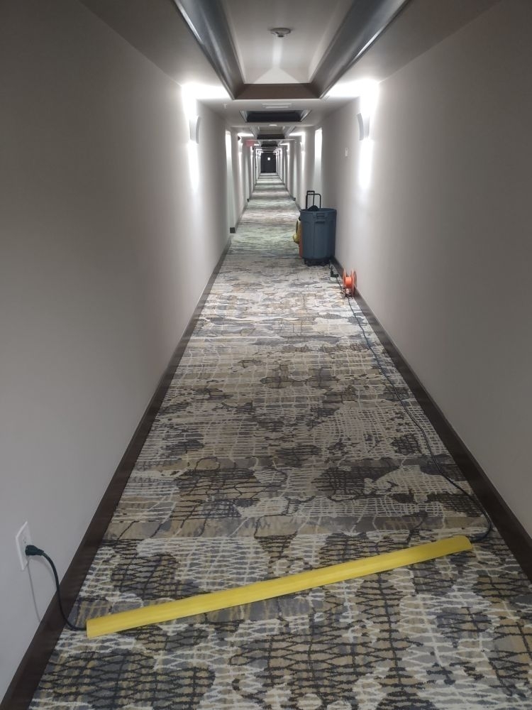 Professional sewage cleanup and sanitization