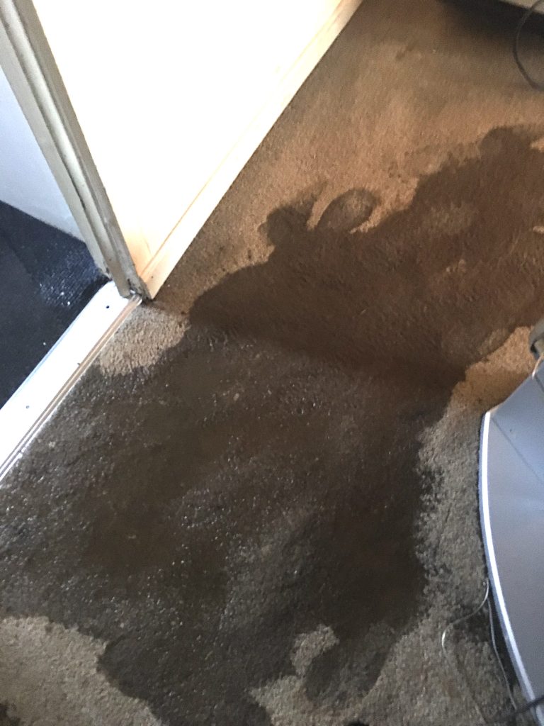 Flood damage restoration — water extraction and drying