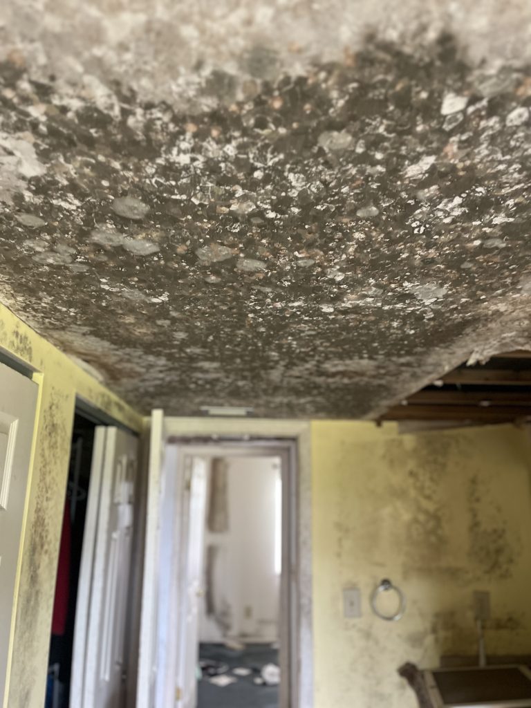 Mold remediation job — certified mold removal South Florida